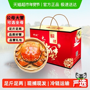 [活蟹]仲秋大闸蟹鲜活现货特大全母螃蟹公河蟹精品礼盒