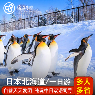 北海道一日游旭川动物园美瑛四季彩之丘白须瀑布青池登别小樽