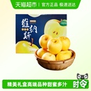 山东烟台正宗黄金维纳斯苹果甜蜜多汁新鲜当季 金斑脆甜产地直发
