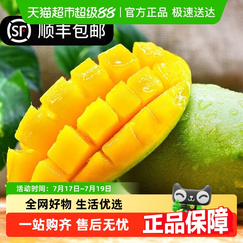 广西芒果大青芒果芒果当季金煌芒青皮甜心芒整箱顺丰包邮