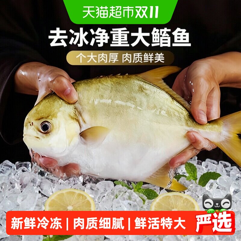 顺丰上门金鲳鱼新鲜冷冻鲜活特大鲳鱼日照金昌鱼海鱼白鲳银鲳鱼