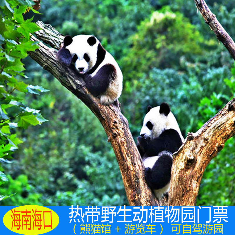 [海南热带野生动植物园-大门票]海南海口动物园景点门票含熊猫馆