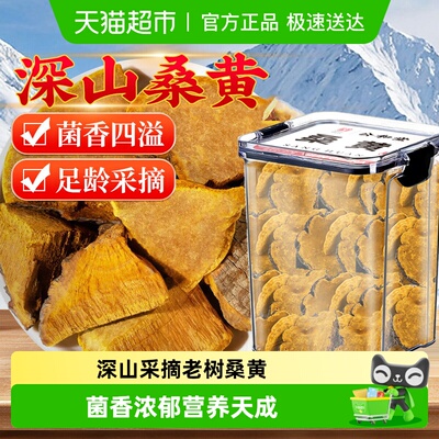 西藏高海拔原产菌香浓郁