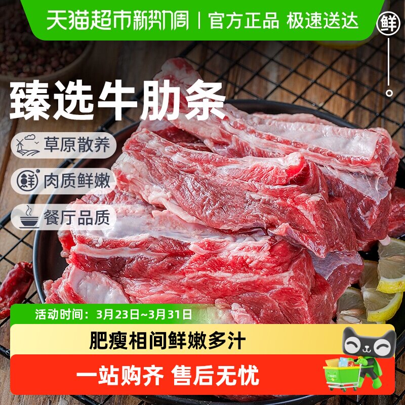 祁连天宝牛肋条原切黄牛肉散养牛肉去骨牛肋条肉生鲜烧烤炖肉食材