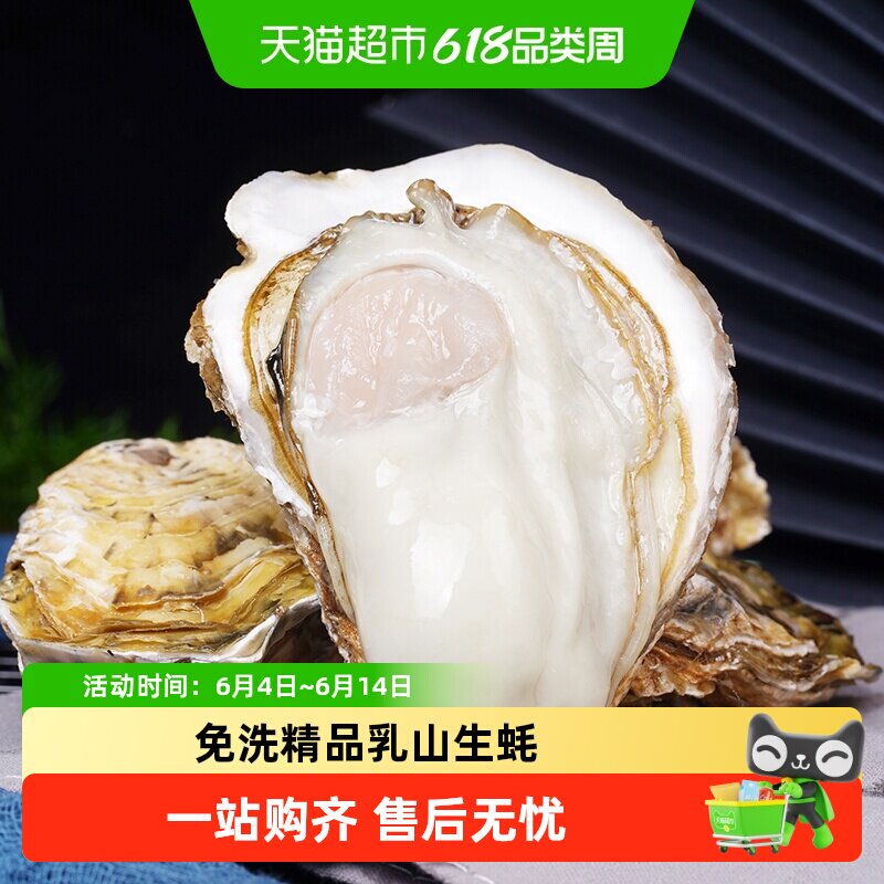 顺丰上门贝司令乳山生蚝鲜活牡蛎4XL净重海鲜水产批发