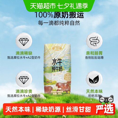 左江摩拉水牛冰淇淋口感高钙牛奶