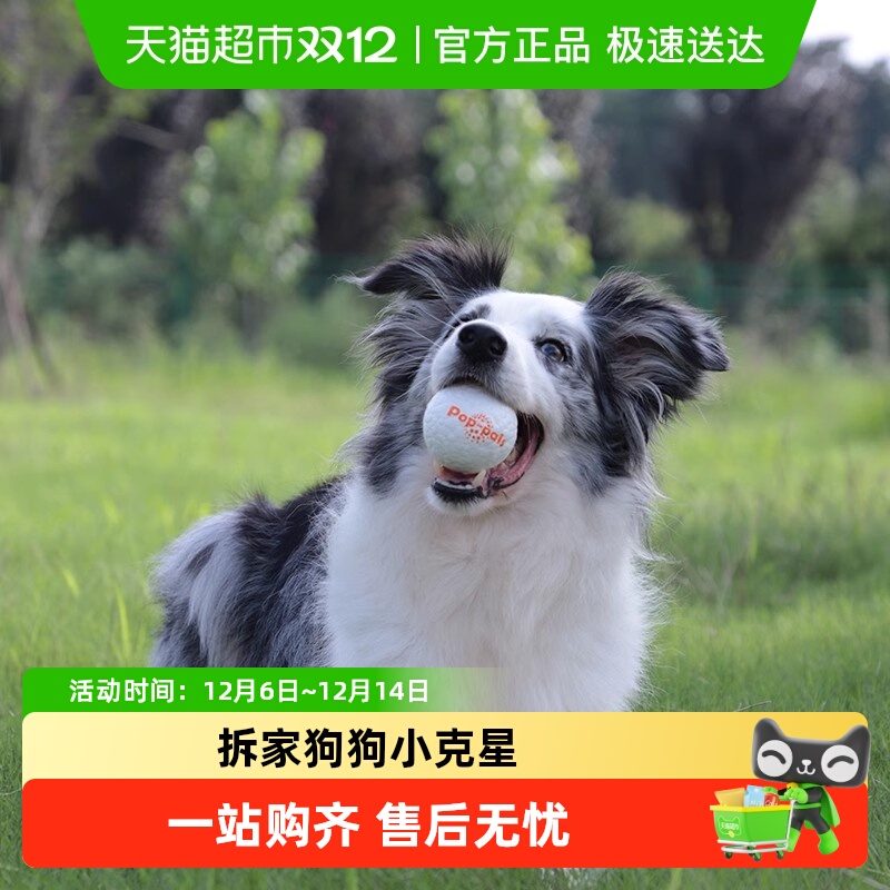 耐咬磨牙狗狗玩具GiGwi贵为