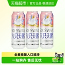 六只天鹅啤酒全麦精酿500ml 3罐尝鲜装