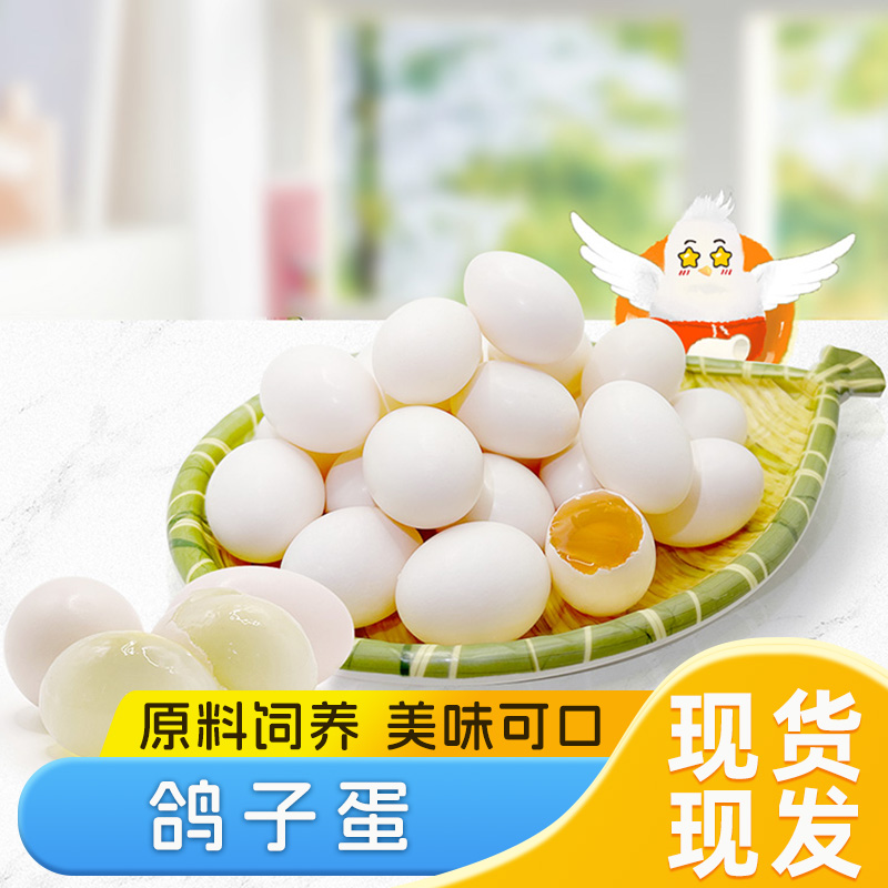 新选鸽子蛋30枚农家散养营养鲜蛋适合孕妇月子和宝宝辅食