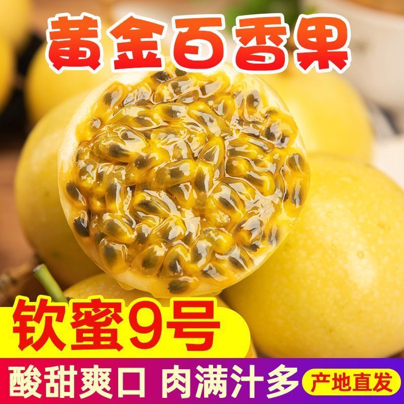 钦蜜9号黄金百香果新鲜水果包邮大果应当季整箱黄皮白香黄金果