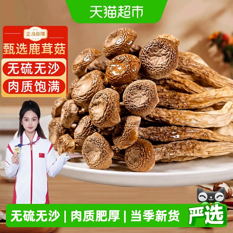 4A精品鹿茸菇干货无硫正宗菌菇非特级新鲜香菇蘑菇云南特产脆脆菇