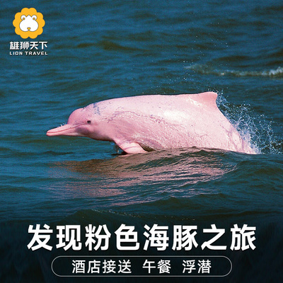 泰国 苏梅岛一日游  卡农海域发现粉色海豚之旅 酒店接送丹岛猪岛