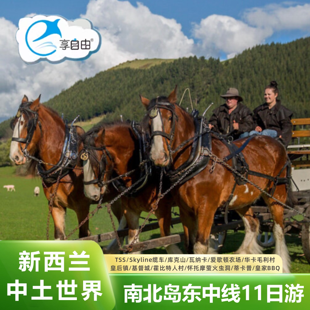 新西兰旅游 新西兰南北岛岛11境外一日游/多日游
