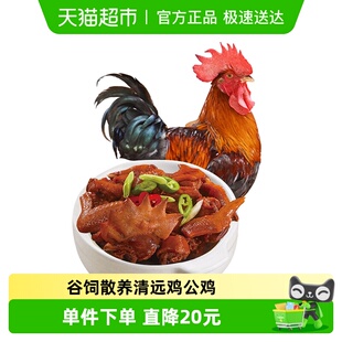 天农清远鸡大公鸡900g散养138天谷饲走地鸡新鲜土鸡肉整鸡供港