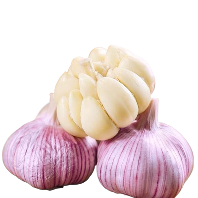 山东金乡紫皮大蒜头产地价包邮