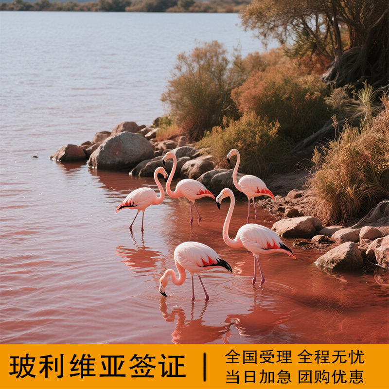 玻利维亚·旅游签证·全国送签·全国办理玻利维亚旅游签证加急预约个人旅行探亲商务签证