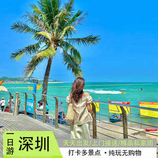 深圳一日游纯玩包车6人小团私家团上门接送大鹏杨梅坑桔钓南澳湾