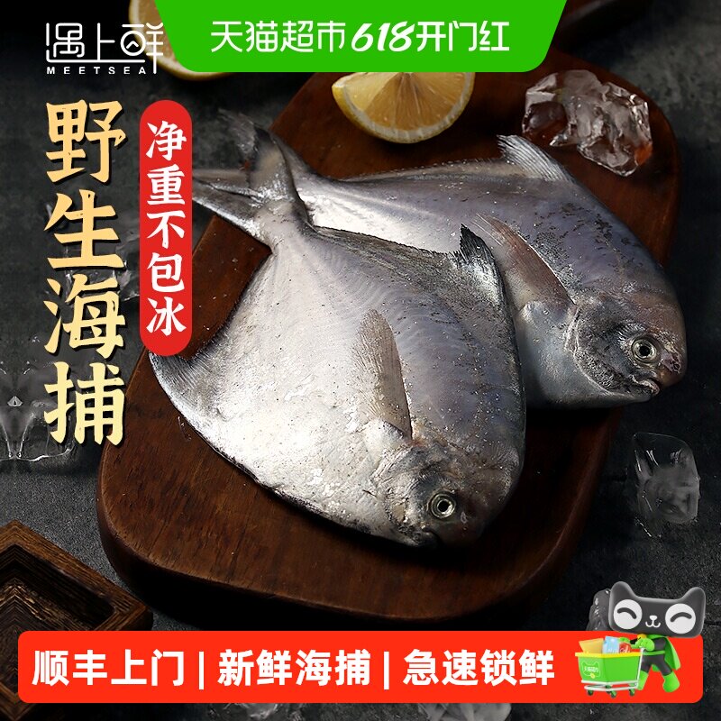顺丰上门遇上鲜银鲳鱼新鲜冷冻舟山海鲜昌扁鱼鲜活速冻水产平鱼大