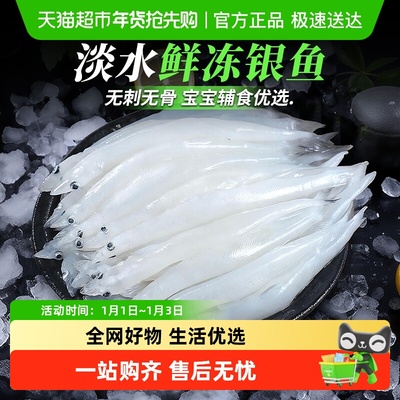云储生活新鲜银鱼海鲜水产
