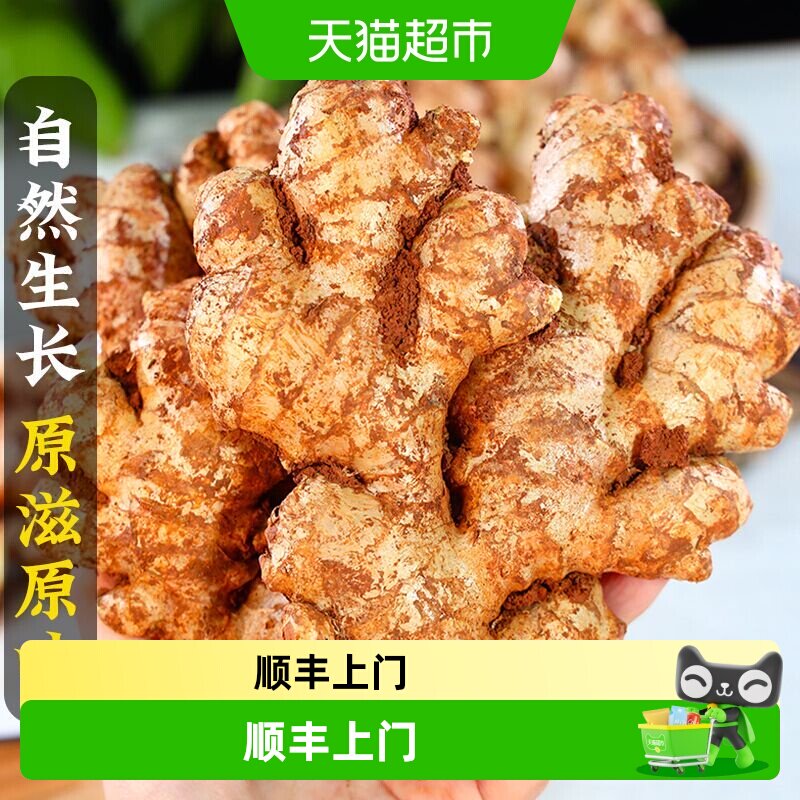 【新鲜现挖】云南小黄姜新鲜生姜蔬菜月子姜嫩姜带泥百搭调味食材