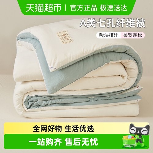 洁丽雅水洗棉保暖冬被春秋被