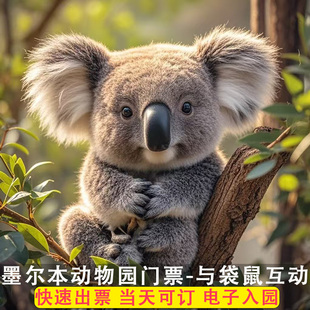 [墨尔本动物园-门票]澳大利亚墨尔本动物园门票 Melbourne Zoo