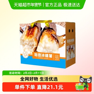 白哈密薯礼盒装哈密白蜜薯冰糖心红薯蜜薯新鲜地瓜白心白瓤番薯