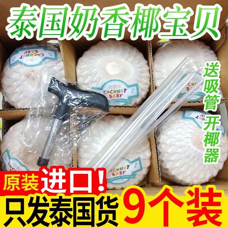 泰国椰青新鲜椰子2/4/9个装进口水果香水椰青汁水整箱包邮