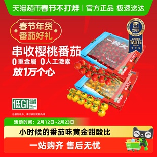 【一颗大】串收樱桃番茄甄选礼盒新鲜采摘酸甜多汁