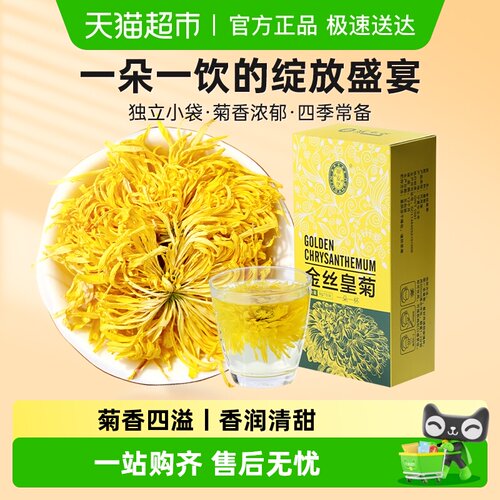 宁安堡金丝皇菊特大朵