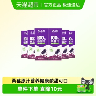 宝桑园100%NFC桑葚汁200ml 6盒健康无添加纯果蔬汁体验装