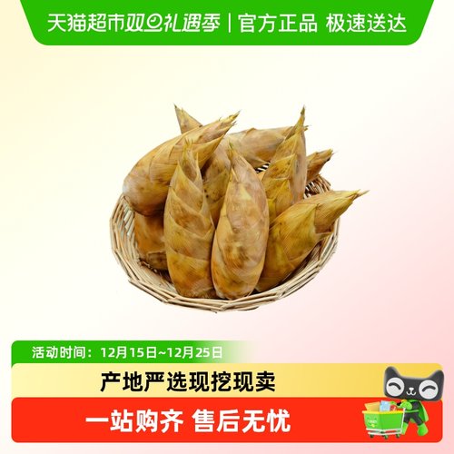 畲丰现挖现卖冬笋