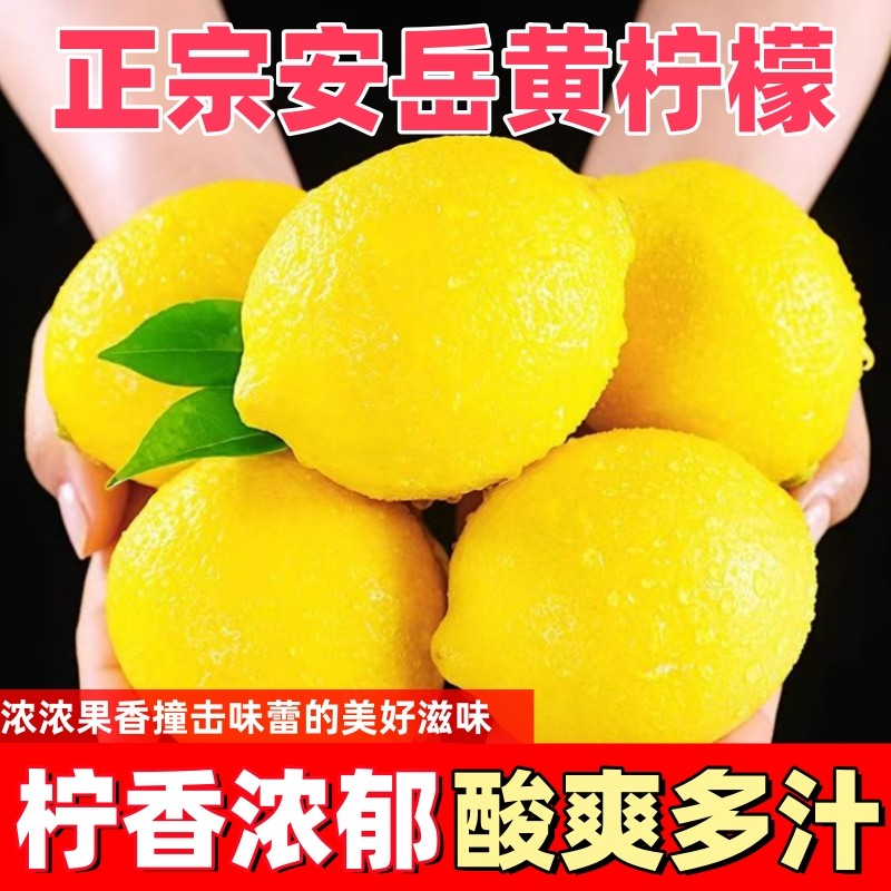 安岳新鲜黄柠檬新鲜水果皮薄多汁产地直发一级鲜果包邮奶茶店榨汁