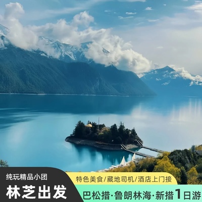 西藏林芝一日游雅鲁藏布大峡谷
