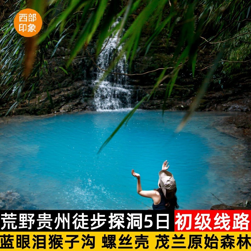贵州黔南5日游茂兰森林螺丝壳