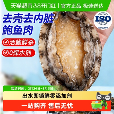 鲍鱼肉鲜活冷冻新鲜特大