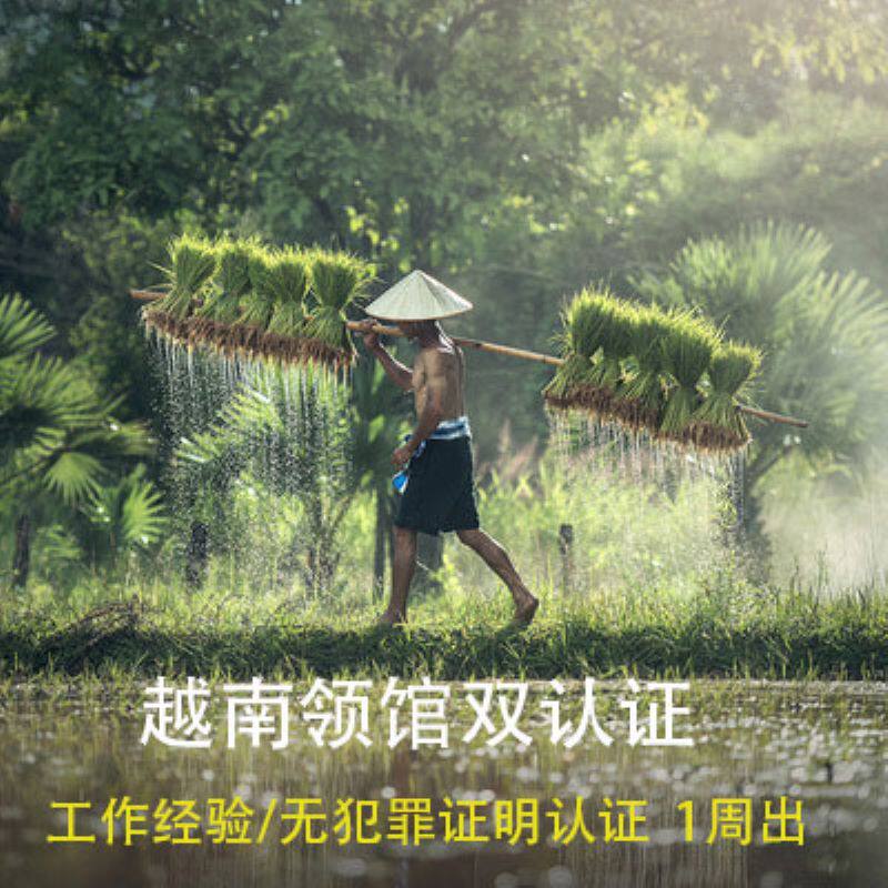越南·三个月多次商务签证·香港送签·公证书-越南领馆双认证.加急一周出 (工作经验 无犯罪证明 学历……)