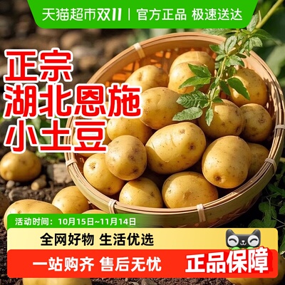 德沃多恩施小土豆当季蔬菜