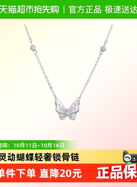 顺钦银楼S990足银设计感项链