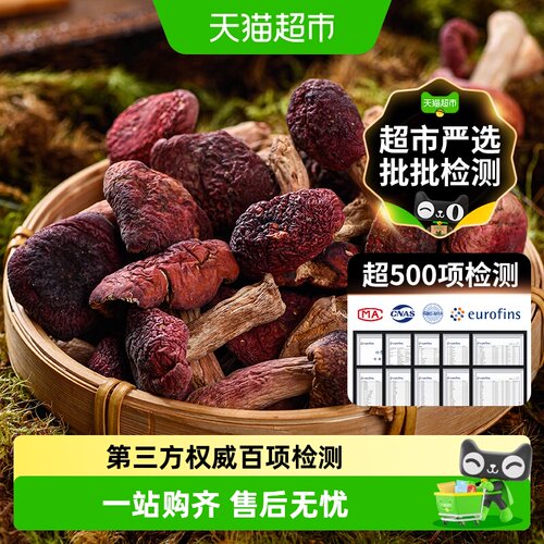 玲珑岭云南野生红菇小巧精致
