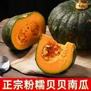 正宗贝贝南瓜粉糯板栗味南瓜老南瓜婴儿辅食健康食品蔬菜