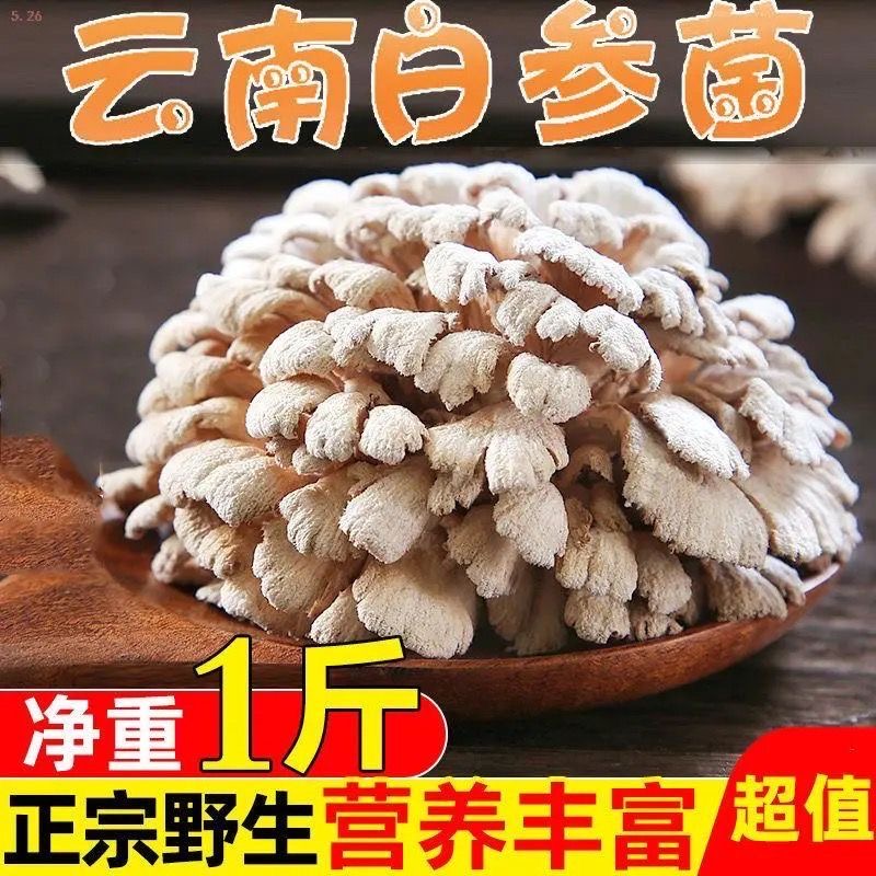 云南特产白参菌干货鸡冠菌裂褶菌白花白参沙参树花云南野生菌