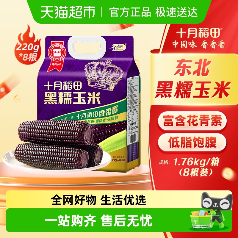 十月稻田黑糯玉米