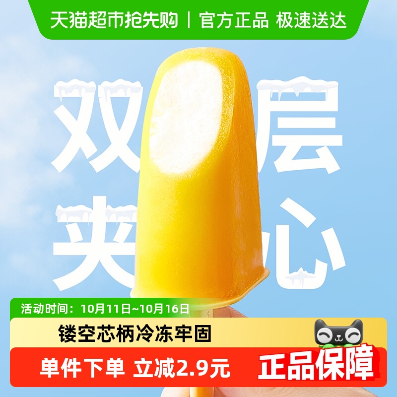 舍里自制雪糕专用模具食品级家用冰棍儿童冰糕自制磨具冰格制冰盒