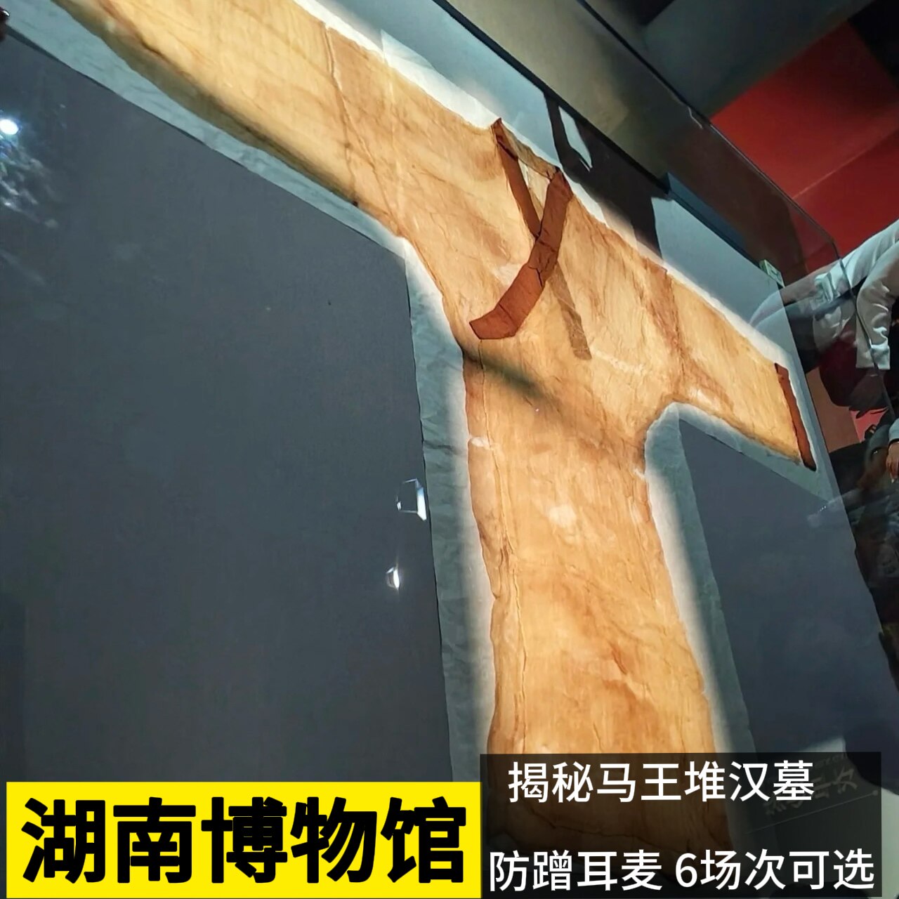 湖南博物院讲解一日游