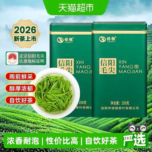 保银信阳毛尖特级白毫显露