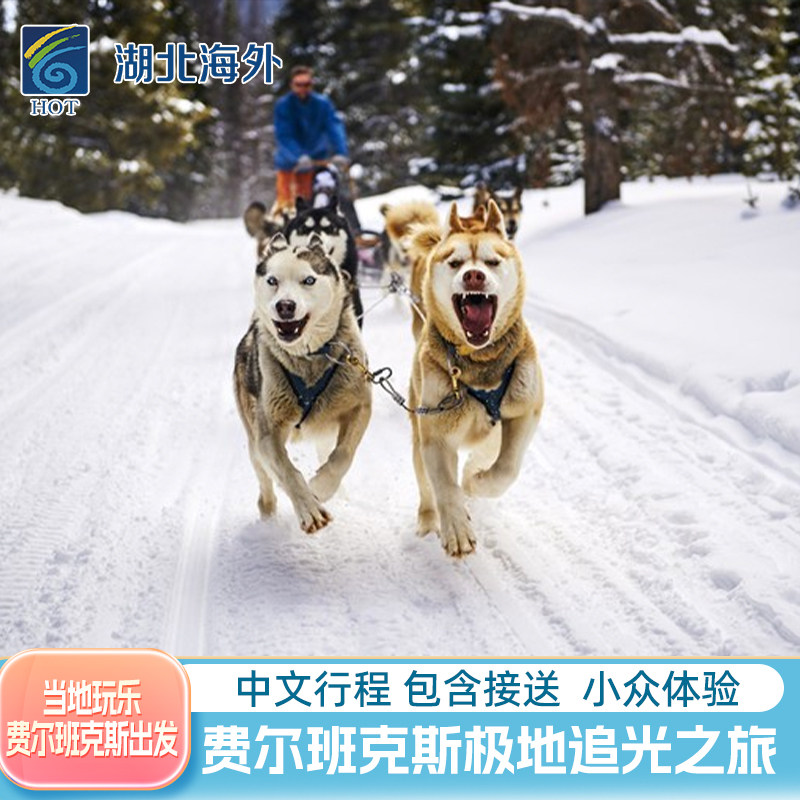 阿拉斯加旅游 费尔班克斯出发极光狗拉雪橇木屋冰钓一日游中文团