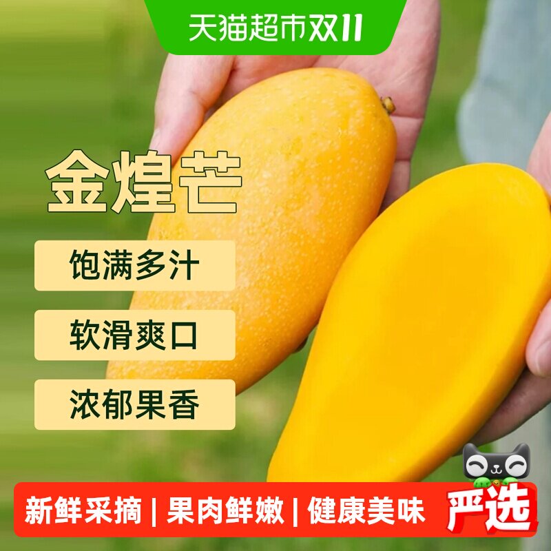 广西金煌芒果新鲜芒果热带水果薄皮果肉鲜嫩当季现摘整箱