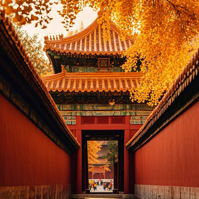 故宫导游人工深度讲解亲子游可选大团/私家团一日游研学
