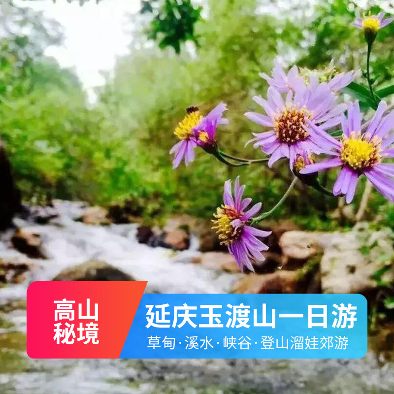 北京延庆玉渡山一日游 适合亲子纯玩无购物北京周边1日游